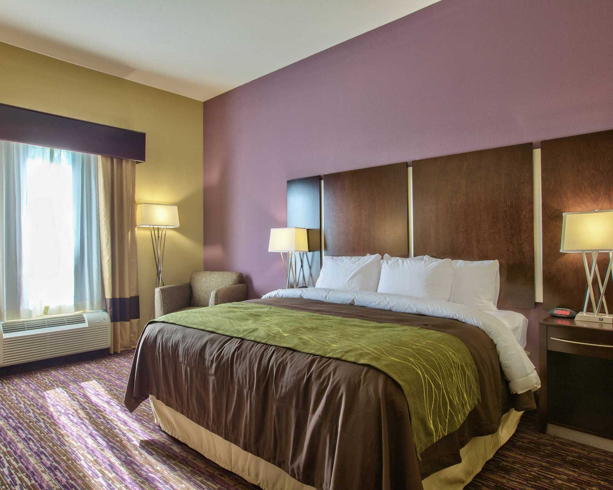 Comfort Inn & Suites Dothan East Quarto foto